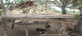 Distrito De Chigubo Garante Segurança Alimentar Para Mais De 24 Mil Habitantes