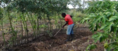 Residentes de Chilaulene clamam por insumos para o aranque da II Época agricola